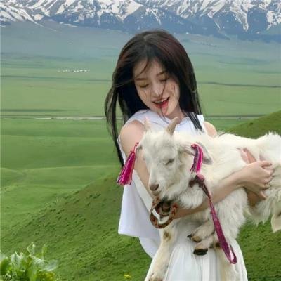 全家福