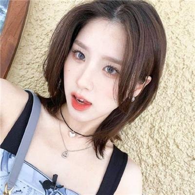 追星星的人第三季